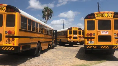 bus, school, school bus, education, transportation, elementary, yellow, safety, vehicle, transport, child, travel, stop, young, student, children, people, bus stop, public, driving school, texas, brown school, brown travel, brown education, brown safety, brown bus, brown stop, school bus, school bus, school bus, school bus, school bus