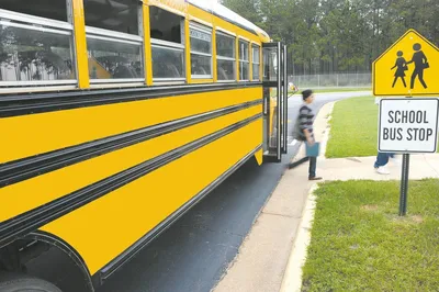schoolbus, vehicle, bus, girl, nature, school, grass, spring, outside, transportation, trees, street, curb